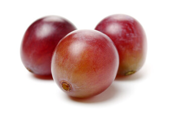 grape on white background 