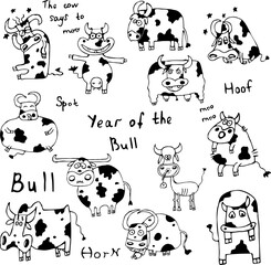 Vector illustration of a set of cows, bulls with Doodle-style spots. Concept of wildlife, agriculture, zodiac signs, New year, Chinese New year. Can be used for books, paper, Wallpaper, fabric