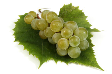 Green wine grape on leaf