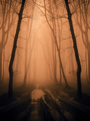 road in dark fantasy woods in autumn