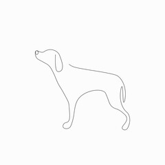 Dog on white background. Vector illustration