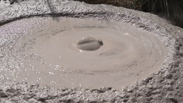 別府地獄めぐり・天然坊主地獄