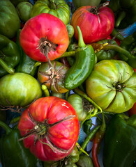 Closeup of colorful and fresh vegetables