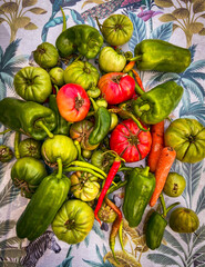 Vegetables freshly picked from the garden