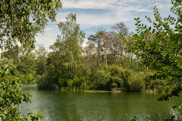 Uferlandschaft an einem See / Gwässer / Fluss