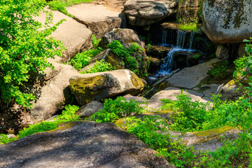 Fototapeta na wymiar View of small stream in a green forest