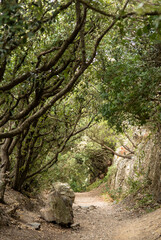Fototapeta premium Sentier des douaniers à Hyères, France