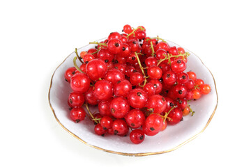 Red currant on saucer