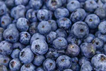 Background of the fresh blueberries