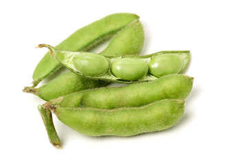 Fresh harvested soybean (edamame) plant isolated on white background