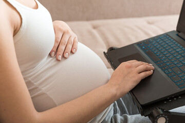 Pregnant woman using laptop in sofa at home