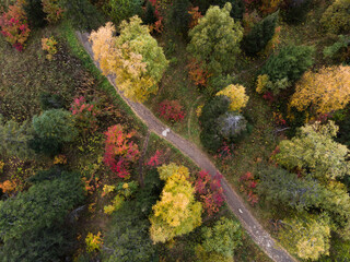 Road in the autumn forest aerial view