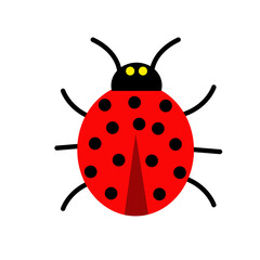 Cute Ladybug illustration in flat style.