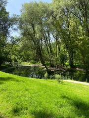 path in the park