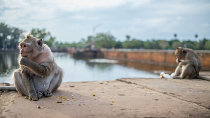 Angkor Wat Temple in the Ancient city of Angkor Thom, Siem Reap, Cambodia 