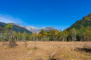 【上高地】秋の田代湿原（田代池）