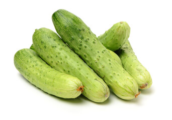 Green cucumber on the white background