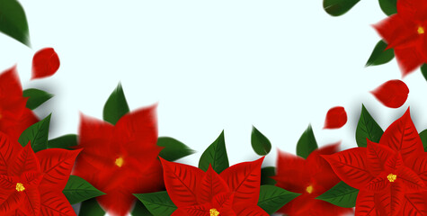 Red poinsettia flower symbol of winter holiday. Christmas flower with green leaf on white background with copy space for your text. Realistic vector illustration.