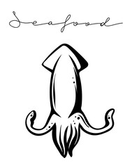 Fototapeta premium Squid, hand drawn vector in logo style, seafood banner