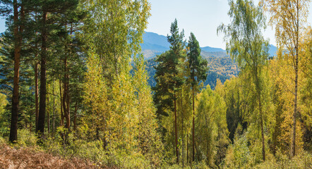 Sunny autumn day in the Sayan mountains, Siberia. 