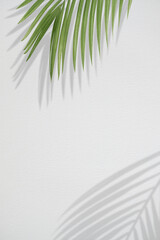 Fototapeta premium Creative layout made of tropical leaves on white background. Minimal summer exotic concept with copy space.