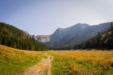 Mountain glade Wielka Polana Malolacka with pine trees and spruces in autumn, with rocky Tatra Mountains in the background, Poland. Giewont, Siodlowa Turnia, Mnichowe Turnie, Wielka Turnia peaks. © Cleop6atra