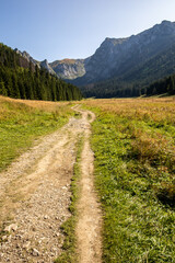 Mountain glade Wielka Polana Malolacka with pine trees and spruces in autumn, with rocky Tatra Mountains in the background, Poland. Giewont, Siodlowa Turnia, Mnichowe Turnie, Wielka Turnia peaks. © Cleop6atra