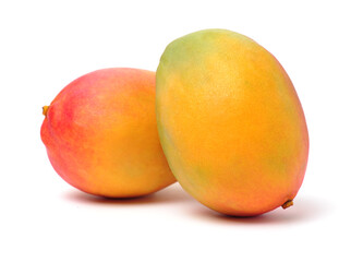 mangos on a white background 