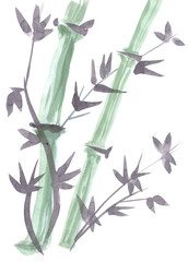 Watercolor bamboo branches on white background. Illustration jpg