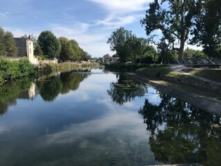 reflection of trees in the water