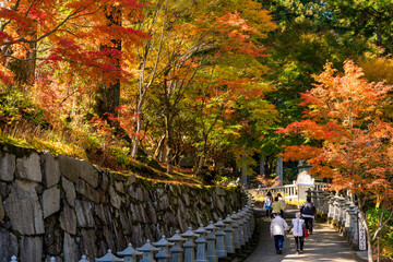 秋の紅葉が美しい雲辺寺