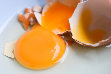 broken egg yolk on bowl Fresh chicken eggs