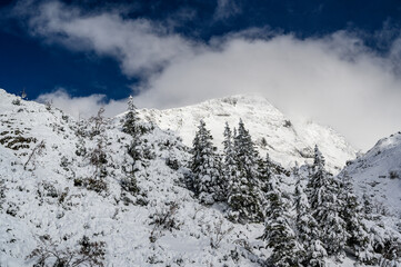 Winterlandschaft VI