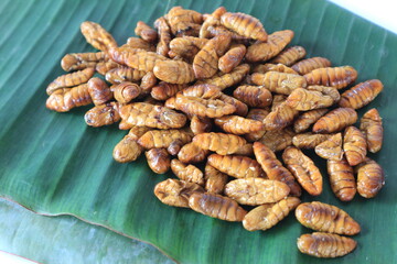 Fried silkworm pupa on banana leaves