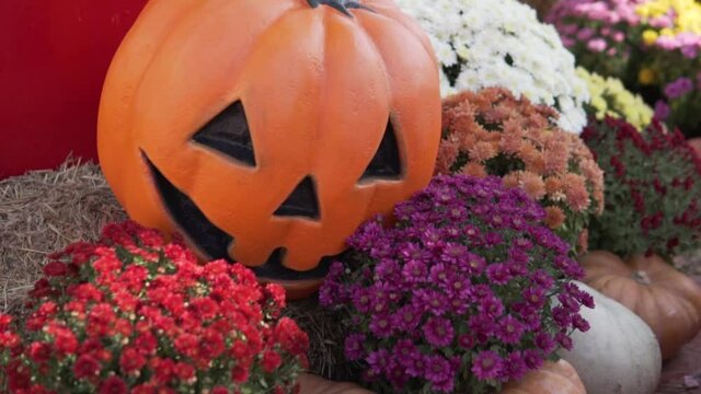 Stylish compositions to halloween pumpkin with flowers on the street.