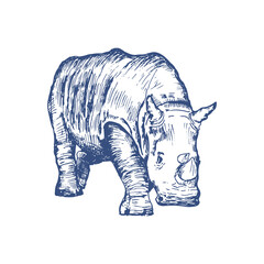 Hand drawn walking rhino isolated on white, vector illustration