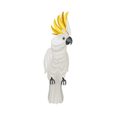 Cockatoo Parrot with Bright Feathers as Warm-blooded Vertebrates or Aves Vector Illustration © Happypictures