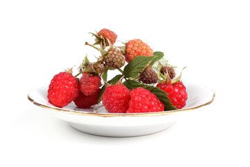 Raspberry branch on saucer