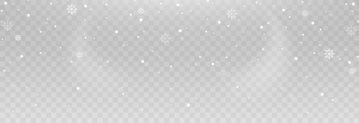 Vector snowflakes. Snowfall, snow. Snowflakes on an isolated background. PNG snow. Snow storm, Christmas snow. Vector image.