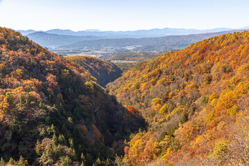 横谷渓谷の紅葉　長野県茅野市