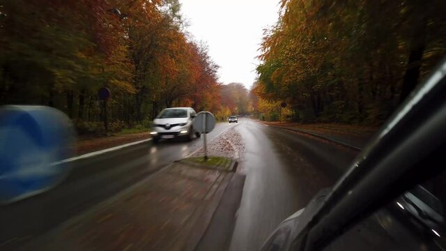 Driving on a beautiful, rainy autumn forest road, stock footage by Brian Holm Nielsen 5