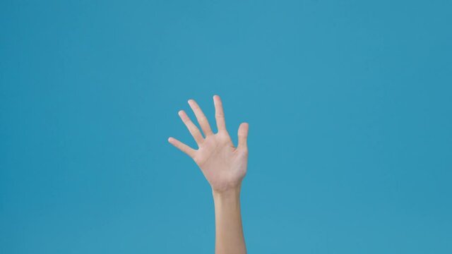 Young woman waving saying greeting, goodbye making hand gestures isolated over blue background. Copy space for place a text, message for advertisement. Advertising area, mock up promotional content.