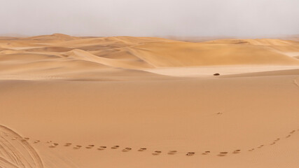 Fototapeta na wymiar footprints in the desert