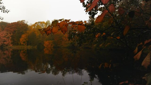 Panning over the small lake of Hjortedam, Lyngby, Copenhagen, Denmark, on a rainy autumn day, stock footage by Brian Holm Nielsen 2