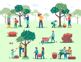 People harvesting, picking apples in farm garden vector illustration. Cartoon flat man woman farmer worker characters gardening, gardeners harvest fall fruits, pick ripe apples from trees background