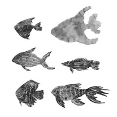 set of fish drawings, black and white illustrations with texture, hand drawings with art sauce