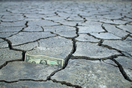the view of the cracked earth in one of the cracks in the dollar stretching into the distance