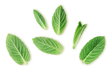 Mint leaves isolated on white background. Pattern, collection, top view 
