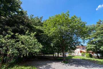 井の頭野草児童遊園（東京都三鷹市井の頭5丁目）