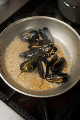 Steamed mussels. Mussels being prepared by a chef in a restaurant kitchen. Classic Italian restaurant entree favorite. Shellfish and seafood prepared with pork, sauces, meats and cheeses.